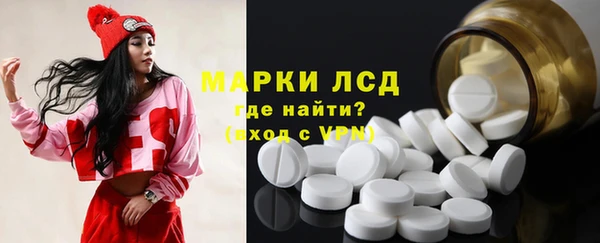 стаф Алексин