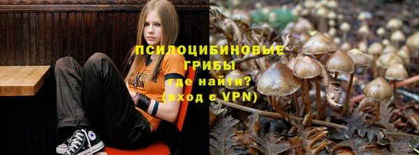 соль курить ск Алексеевка