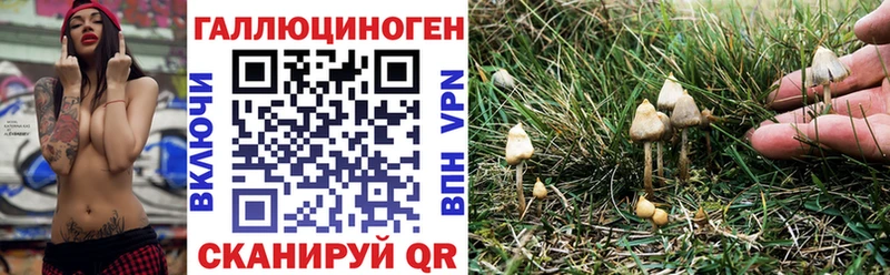 нарко площадка телеграм  Ртищево  Галлюциногенные грибы Psilocybe  магазин продажи наркотиков 
